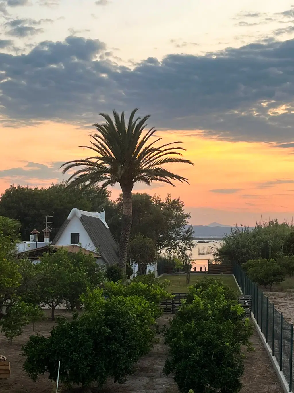 Atardecer sobre la Albufera con barca tradicional